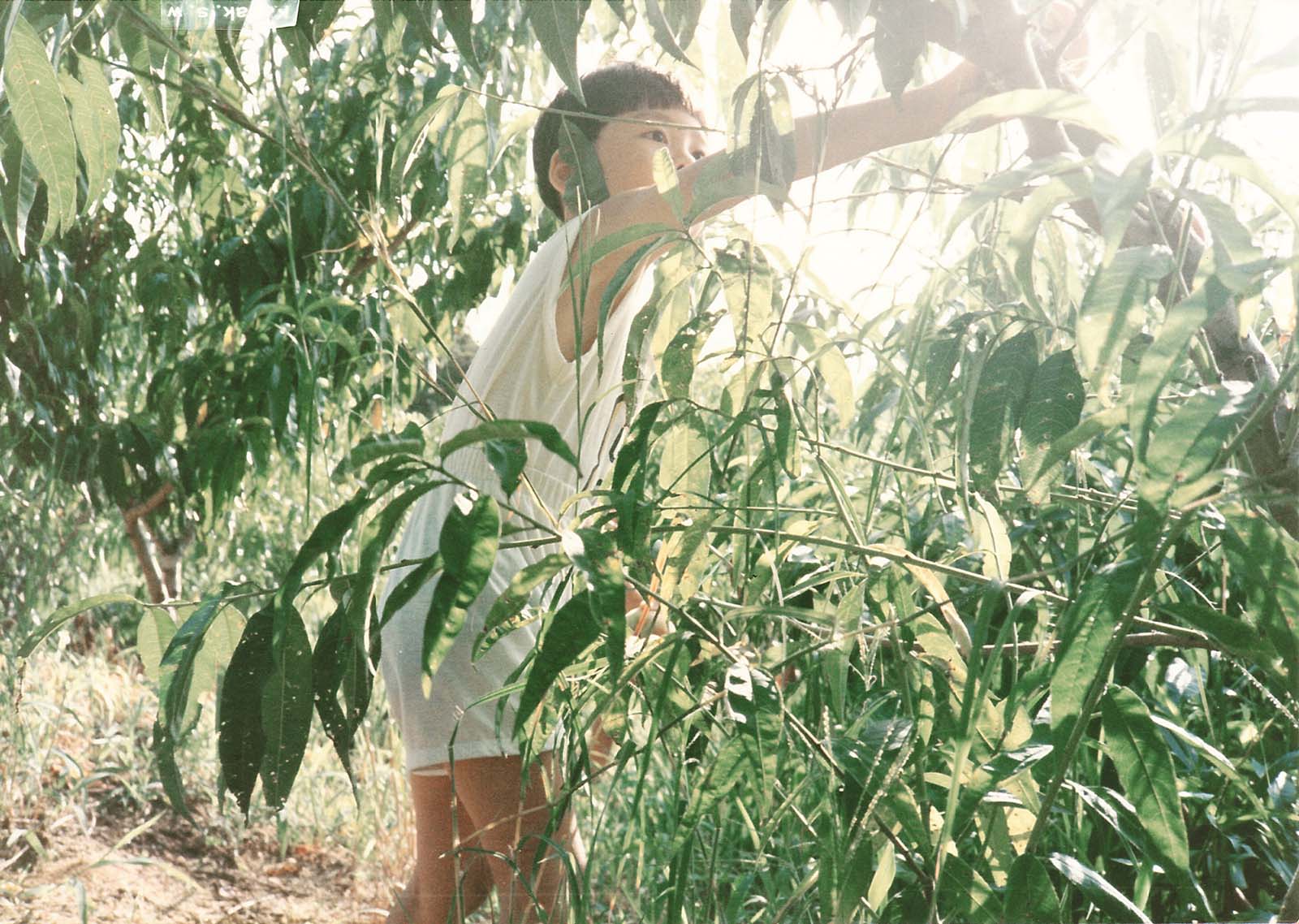 Gallery – SHOON
